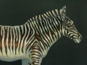 Zebra-Roots (Detail)